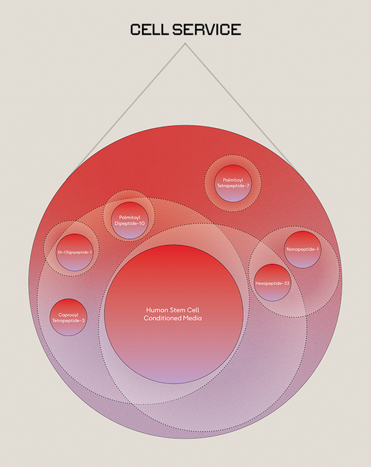 Cell Service™️—the “liquid gold” in Master Plan
